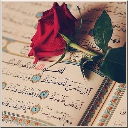 ياسر الفيفي